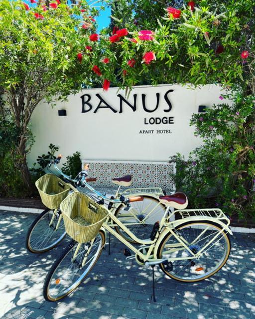 Banus Lodge Marbella Zewnętrze zdjęcie