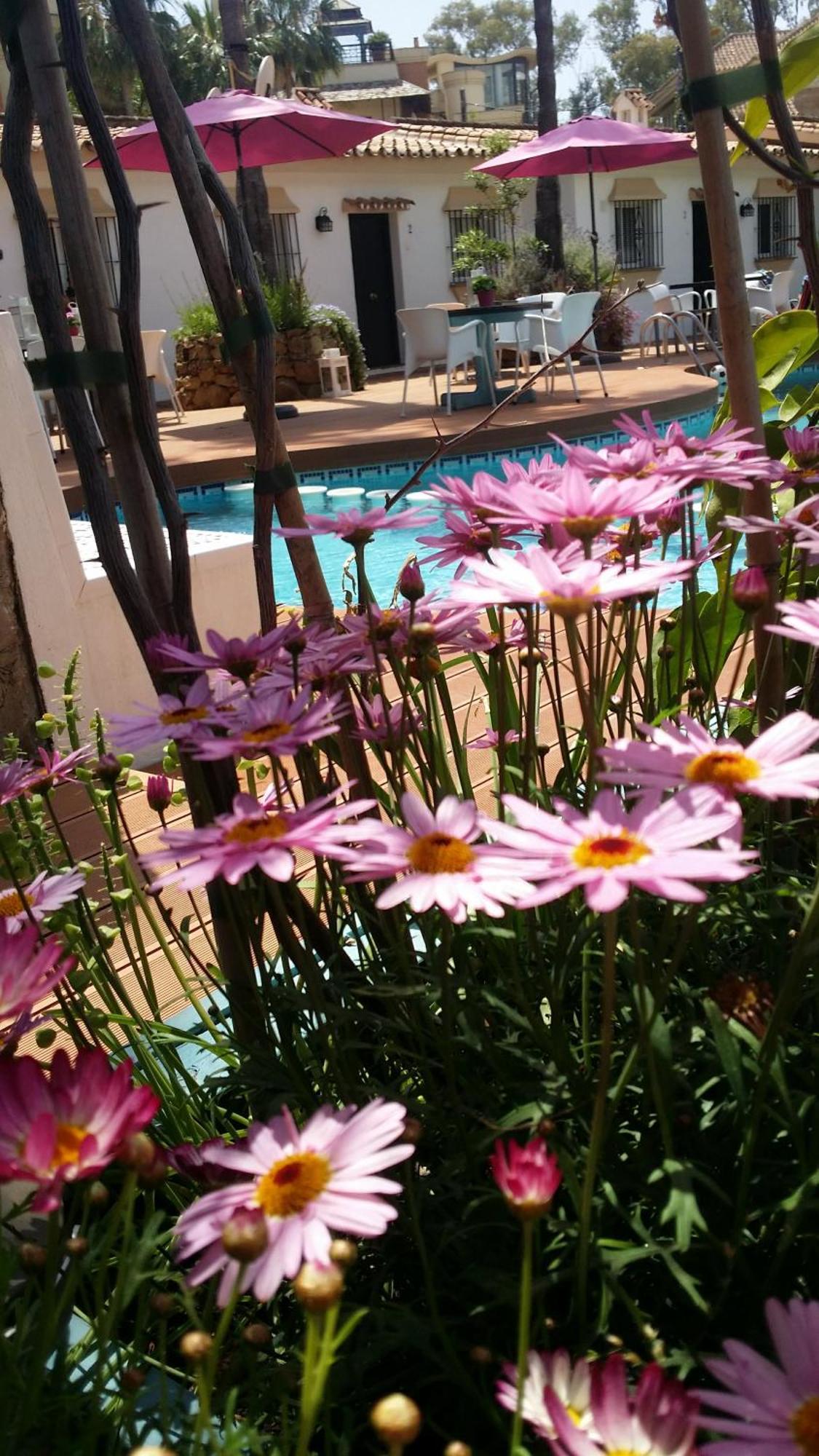Banus Lodge Marbella Zewnętrze zdjęcie