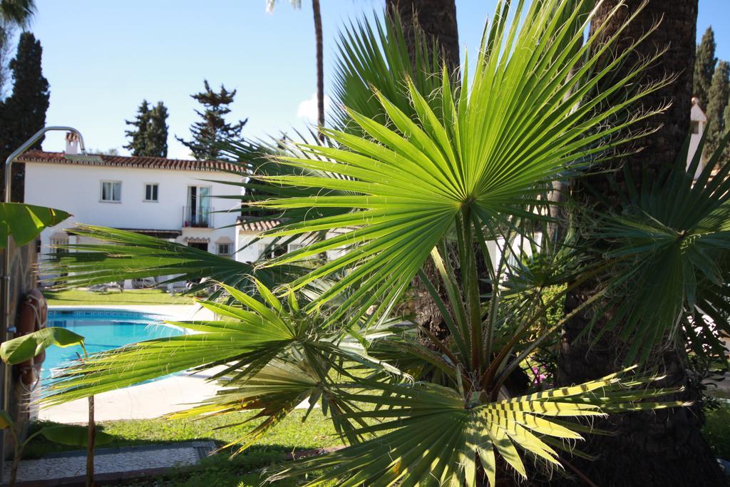 Banus Lodge Marbella Zewnętrze zdjęcie