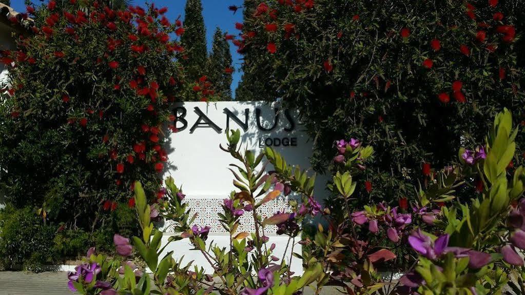 Banus Lodge Marbella Zewnętrze zdjęcie